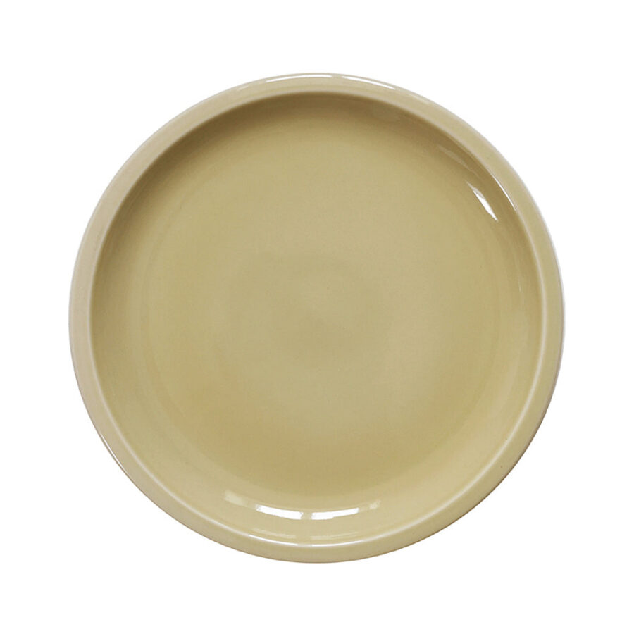 Clay Green Casual Dining Plate